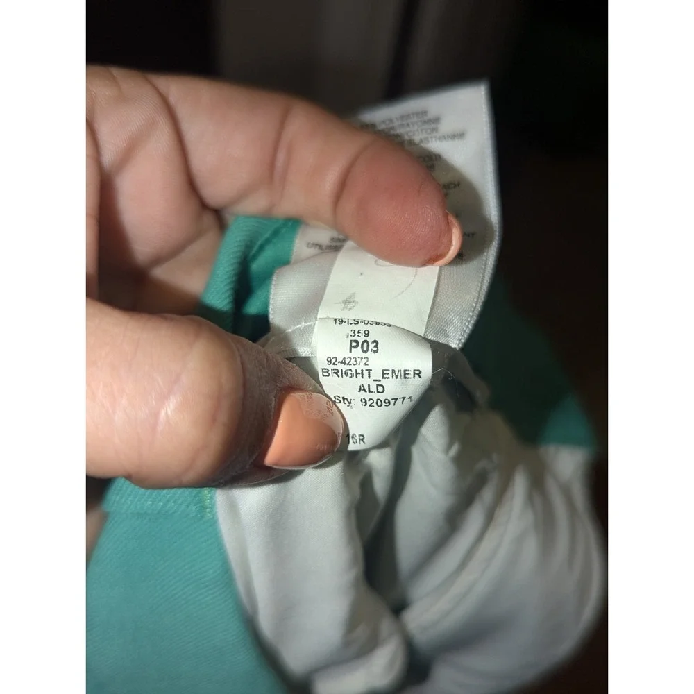 Coastal‎ Quiet Luxury Emerald Slim Career Pants Express Mid Rise Stretch 16R